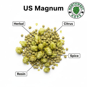 2024 US Magnum T90 Hop Pellets