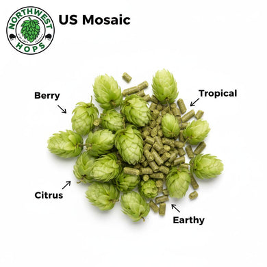 2024 US Mosaic® T90 Hop Pellets