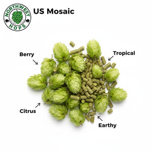 2024 US Mosaic® T90 Hop Pellets