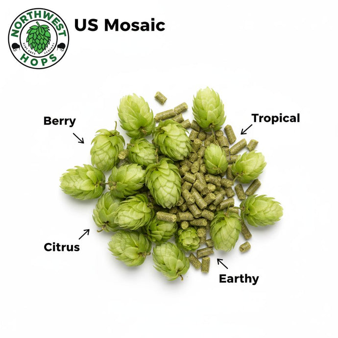 2024 US Mosaic® T90 Hop Pellets – American Tropical & Berry Aroma Hops | Northwest Hops