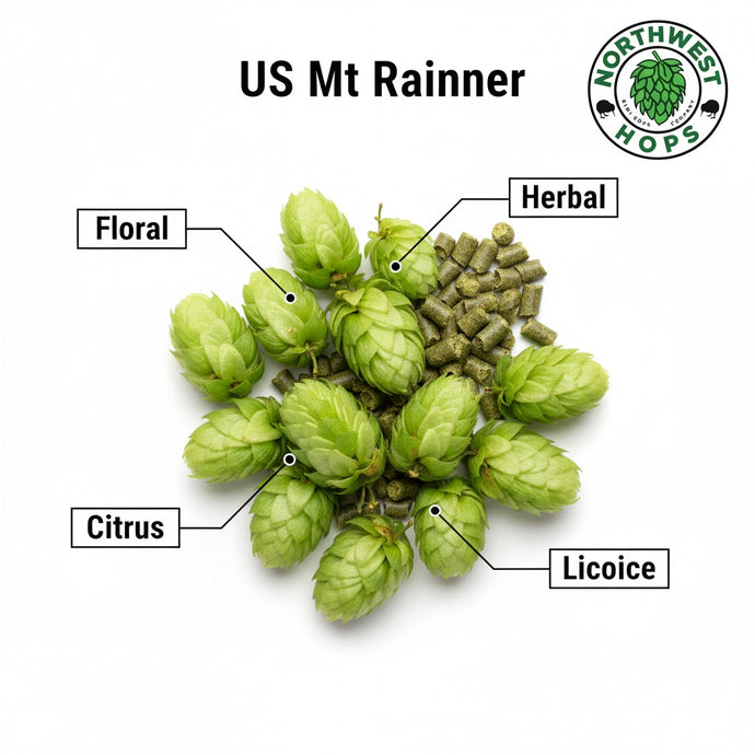 2023 US Mt Rainier Hop Pellets – US Floral, Herbal & Citrus Aroma Hops | Northwest Hops