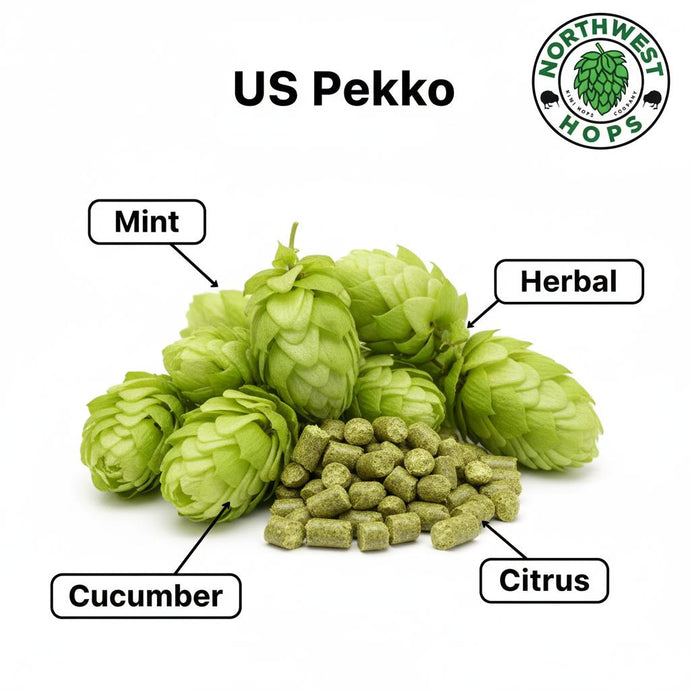 2022 US Pekko Hop Pellets – US Tropical & Citrus Aroma Hops | Northwest Hops