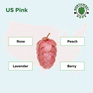 2024 US Pink (Exp. ID-158) T90 Pellets T90 Hop Pellets