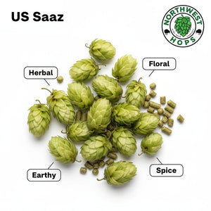 2024 US Saaz T90 Hop Pellets