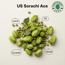 2024 US Sorachi Ace T90 Hop Pellets