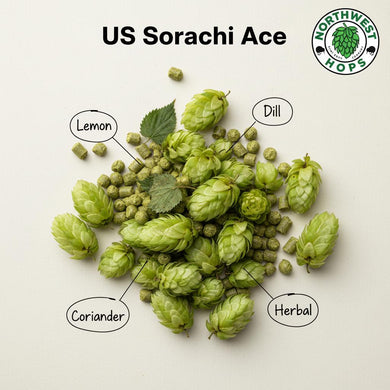 2024 US Sorachi Ace T90 Hop Pellets
