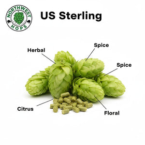 2024 US Sterling T90 Hop Pellets