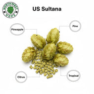 Sultana Hop Pellets 2025 – American Pineapple & Citrus Aroma Hops