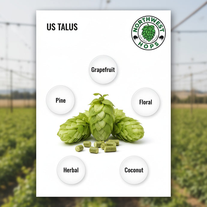 2024 US Talus Hop Pellets – American Pink Grapefruit & Citrus Aroma Hops | Northwest Hops