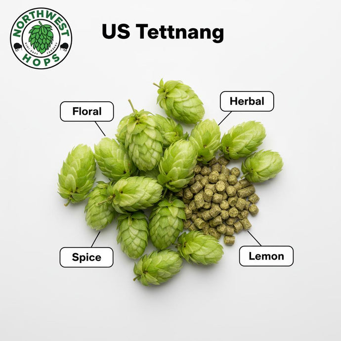 2024 US Tettnang T90 Hop Pellets