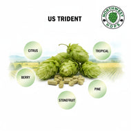 Trident Hop Pellets 2024 – American Tropical & Citrus Aroma Hops
