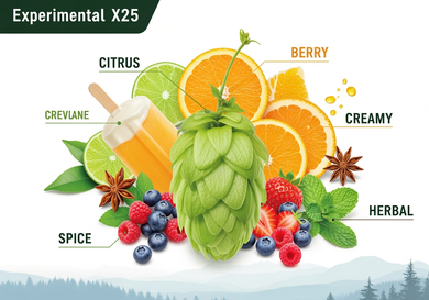 2024 US Experimental X25 T90 Hop Pellets