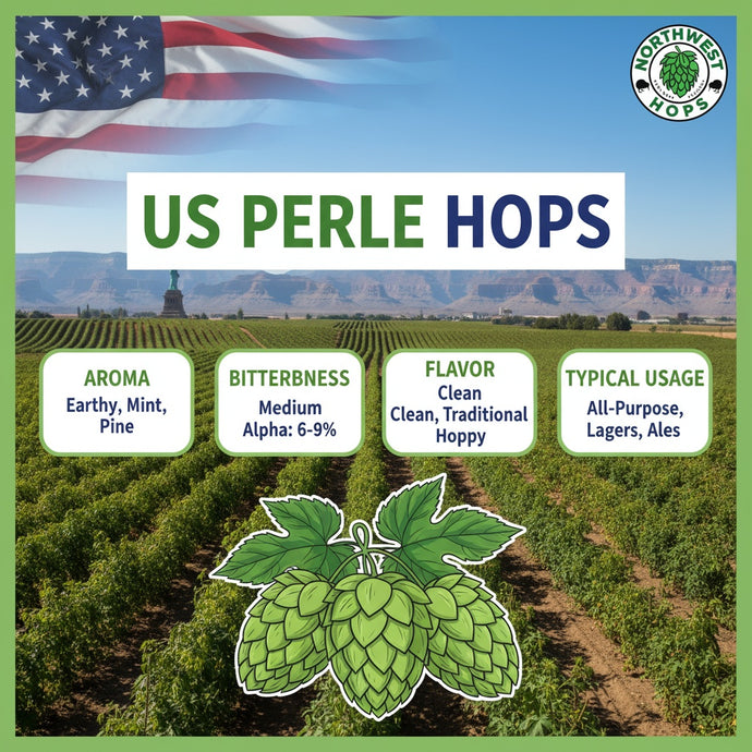 2024 US Perle Hop Pellets – American Floral & Spicy Aroma Hops | Northwest Hops