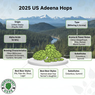 Adeena Hop Pellets – 2025 Unique American Aroma Hops from the USA