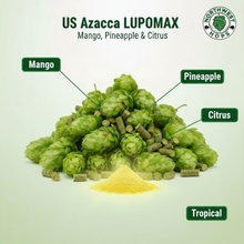 2024 US Azacca LUPOMAX™ Hop Pellets – US Mango, Pineapple & Citrus Aroma Hops | Northwest Hops