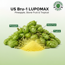 2024 US Bru-1 LUPOMAX™ Hop Pellets – US Pineapple & Stone Fruit Aroma Hops | Northwest Hops