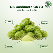 2024 US Cashmere Cryo Hop Pellets – Lemon, Melon & Coconut Aroma Hops | Northwest Hops