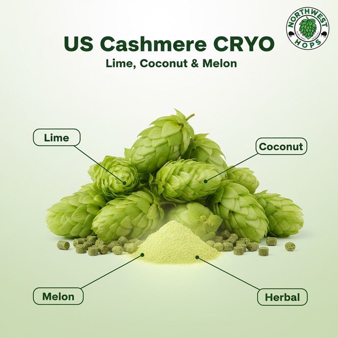 2024 US Cashmere Cryo Hop Pellets – Lemon, Melon & Coconut Aroma Hops | Northwest Hops