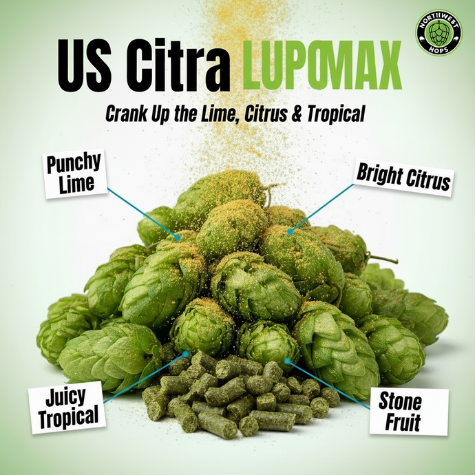 2024 US Citra LUPOMAX™ Hop Pellets – US Intense Citrus & Tropical Aroma Hops | Northwest Hops