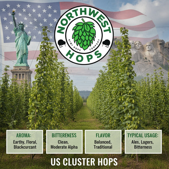 2023 US Cluster Hop Pellets – US Earthy & Spicy Aroma Hops | Northwest Hops