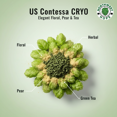 2023 US Contessa Cryo Hop Pellets – Tropical & Citrus Aroma Hops | Northwest Hops