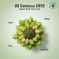 Contessa Cryo Hop Pellets 2023 – Tropical & Citrus Aroma Hops