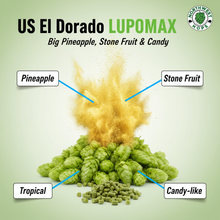 2024 US El Dorado LUPOMAX™ Hop Pellets – US Tropical & Stone Fruit Aroma Hops | Northwest Hops