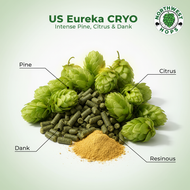 Eureka Cryo Hop Pellets 2023 – Tropical & Citrus Aroma Hops