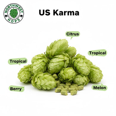2024 US Karma (X26) T90 Hop Pellets