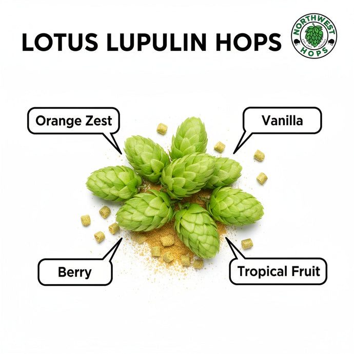2024 US Lotus Lupulin Hop Pellets – Orange, Berry & Vanilla Aroma Hops | Northwest Hops