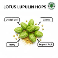Lotus Lupulin Hop Pellets 2024 – Orange, Berry & Vanilla Aroma Hops