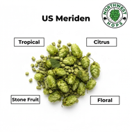 Meriden Hop Pellets 2019 – American Tropical, Citrus & Stone Fruit Aroma Hops