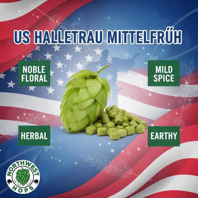 2025 US Hallertau Mittelfrüh Hop Pellets – American Noble Aroma Hops | Northwest Hops