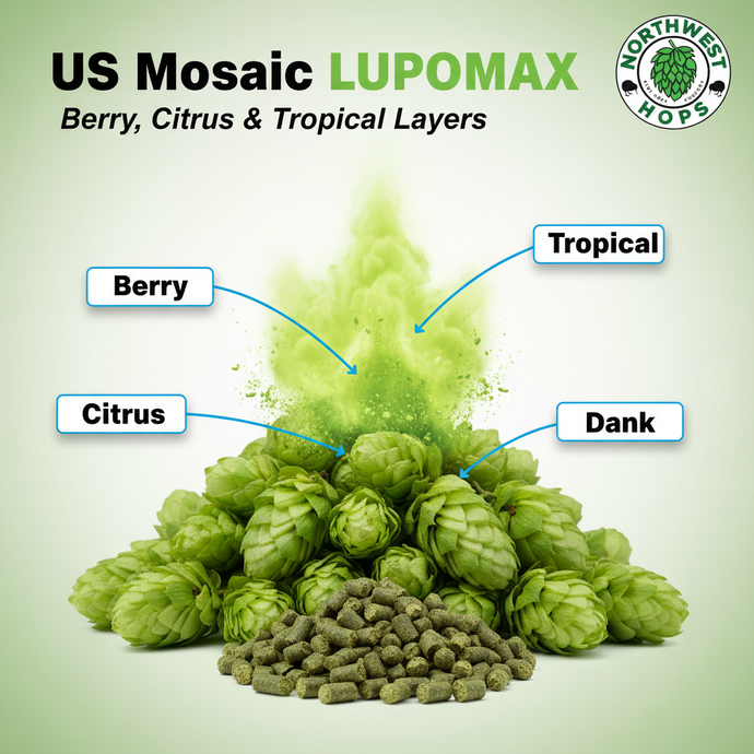 2024 US Mosaic Lupomax™ Hop Pellets – Intense Berry, Tropical & Citrus Aroma Hops | Northwest Hops