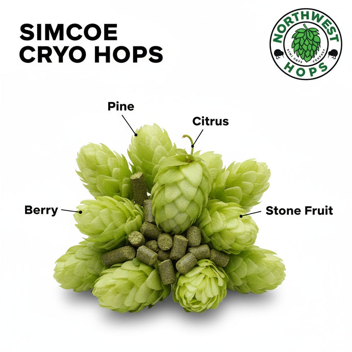 2024 US Simcoe CRYO® Hop Pellets – Pine, Citrus & Berry Aroma Hops | Northwest Hops