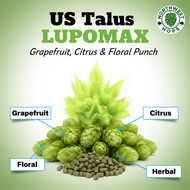 Talus Lupomax Hop Pellets 2025 – American Pink Grapefruit & Citrus Aroma Hops