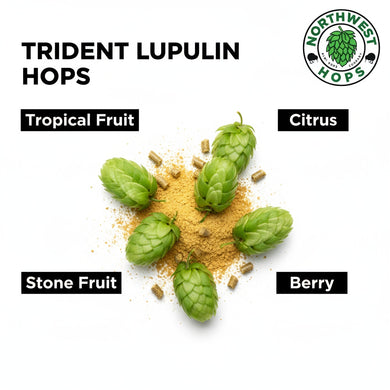 2024 US Trident Lupulin Hop Pellets – Tropical, Citrus & Berry Aroma Hops | Northwest Hops