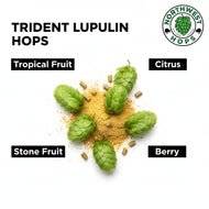 Trident Lupulin Hop Pellets 2024 – Tropical, Citrus & Berry Aroma Hops