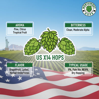 2023 US Experimental X14 Hop Pellets – US Citrus & Tropical Aroma Hops | Northwest Hops