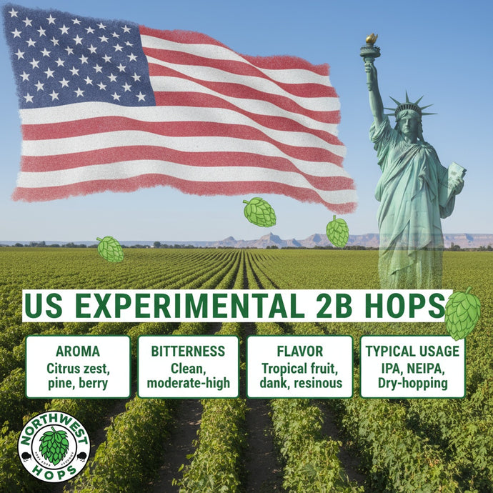 2023 US Experimental 2B Hop Pellets – US Tropical & Citrus Aroma Hops | Northwest Hops