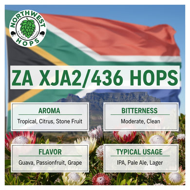 2022 ZA XJA2/436 Hop Pellets – South African Unique Aroma Hops | Northwest Hops