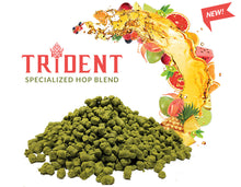 2024 US Trident T90 Hop Pellets
